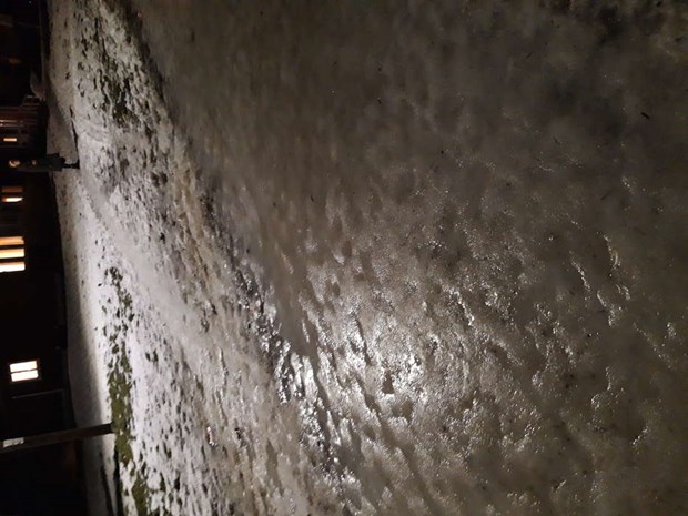 Insändare: Med livet (eller armar och ben) som insats Insändare: Med livet (eller armar och ben) som insats