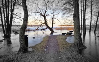 Insndare: Svrtillgnglig sjis 