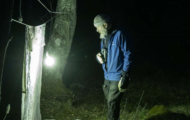 Premiär för nattlys i Angarn Premiär för nattlys i Angarn