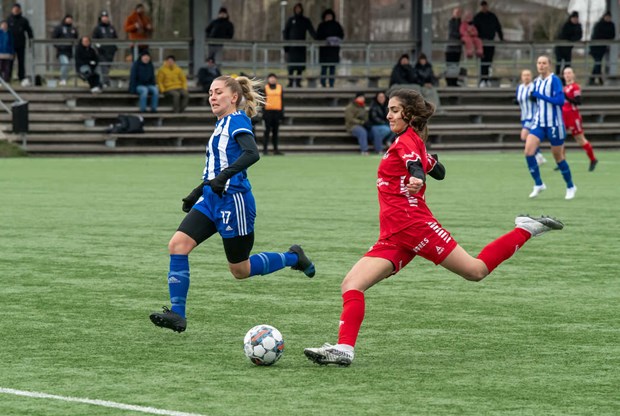 Full pongskrd fr nykomlingarna