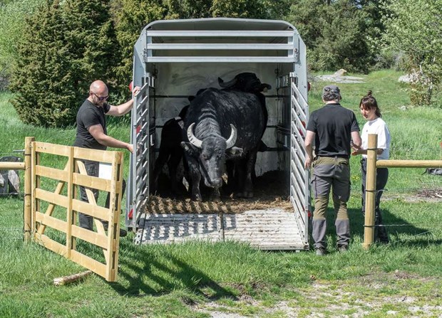 Uppskattade sommarjobbare tillbaka Uppskattade sommarjobbare tillbaka