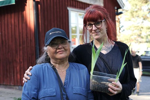 Traditionsenlig plantbytardag i Orkesta Traditionsenlig plantbytardag i Orkesta