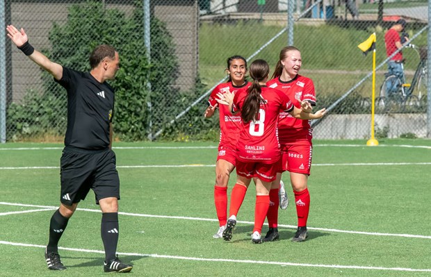 Drömmål av Sara Ringh i återkomsten Drömmål av Sara Ringh i återkomsten