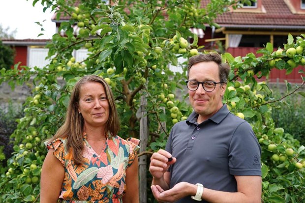 Ny facebookgrupp ska rädda trädgårdens skatter Ny facebookgrupp ska rädda trädgårdens skatter