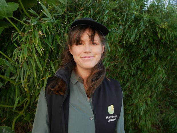 Så tar du vara på sommarens skafferi Så tar du vara på sommarens skafferi