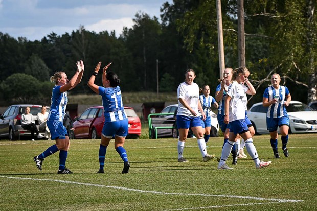 Stabil seger mot Skyttorp Stabil seger mot Skyttorp