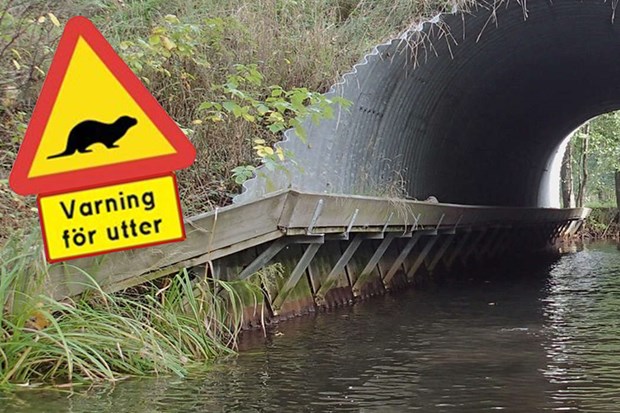 Trafikskrare fr uttrar i Krsta