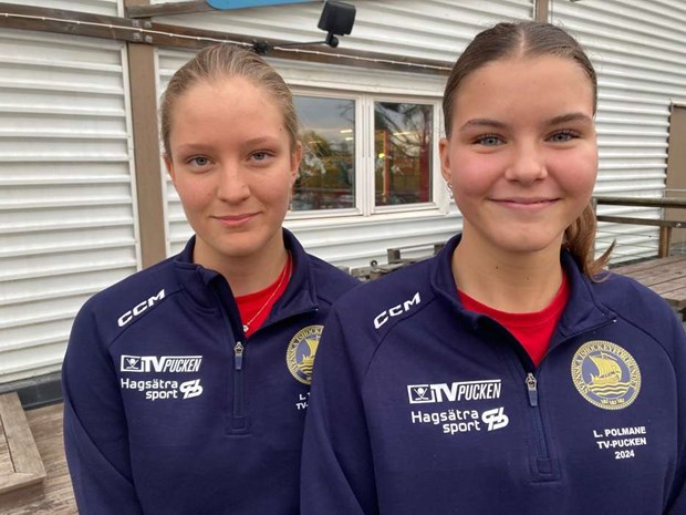 Talanger strålar trots tidig exit i TV-pucken Talanger strålar trots tidig exit i TV-pucken