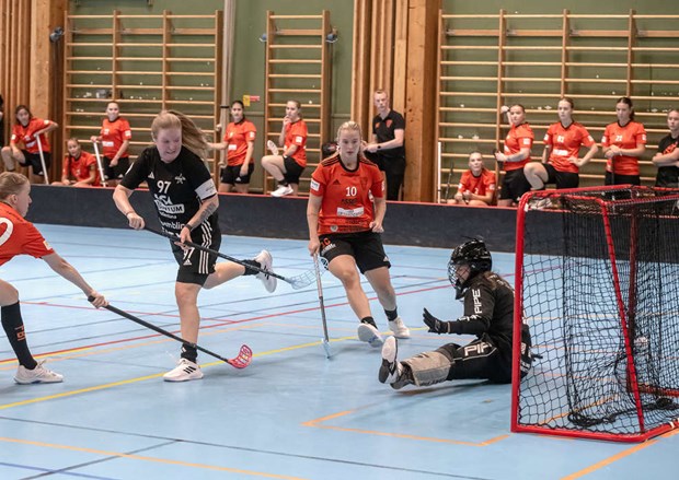 Förlust i division 1-premiären Förlust i division 1-premiären