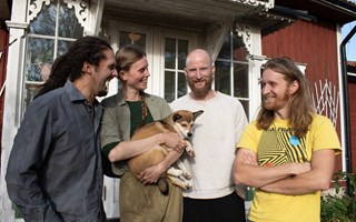 Unikt kollektiv blomstrar i Brottbyvilla