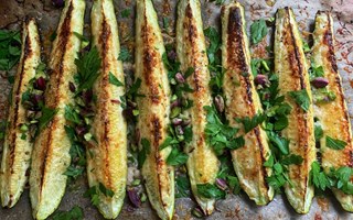 Zucchini r kkets kameleont, redo att anpassa sig efter dina behov