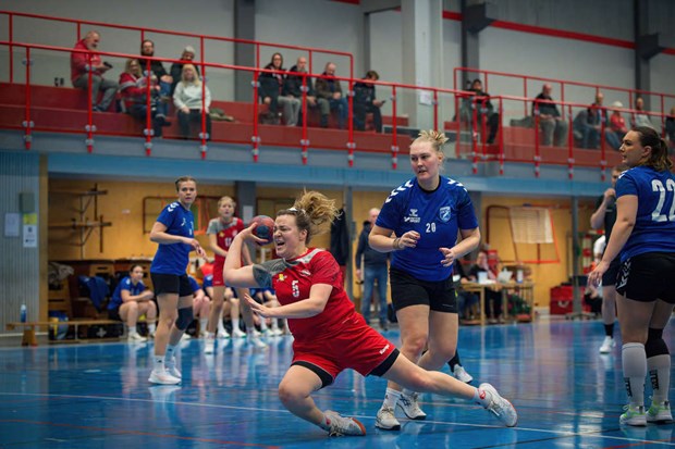 Handbollsdamerna jagar serieseger