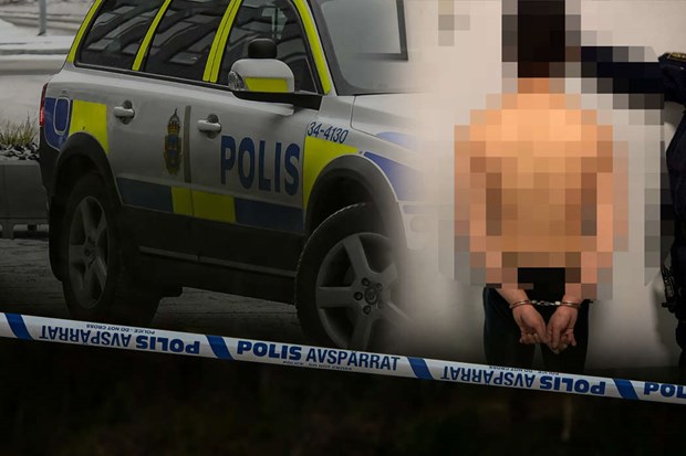 Svensk mstare talas fr flera sexualbrott