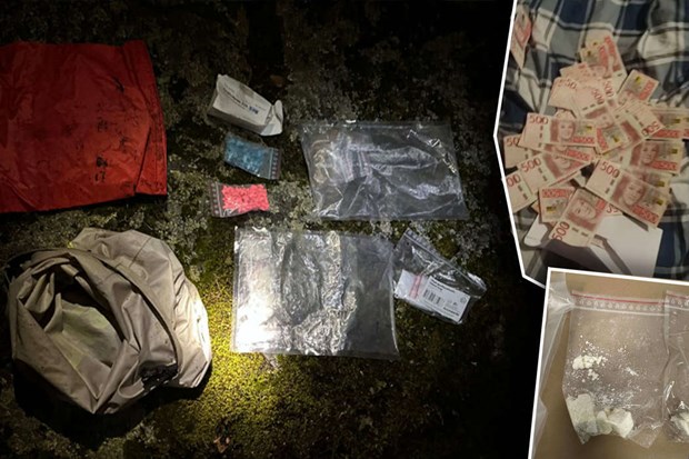 Gömde droger i skogsparti Gömde droger i skogsparti