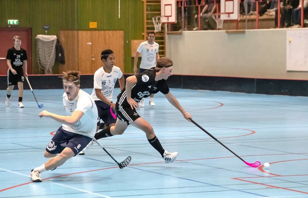 Vallentuna IBK undvek nedflyttning efter seger Vallentuna IBK undvek nedflyttning efter seger