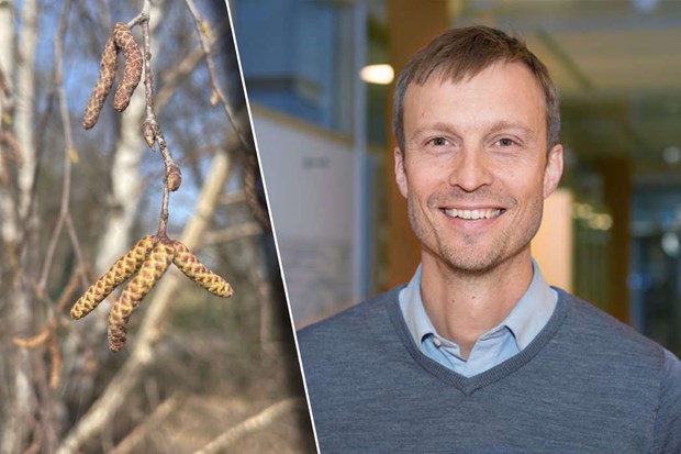 Experten: Så skiljer du pollenallergi från snuva Experten: Så skiljer du pollenallergi från snuva