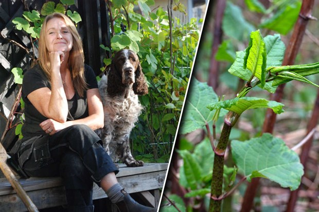 Parkslide kan kosta dig mnga tusenlappar