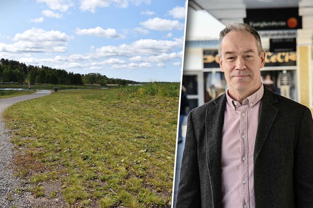 �ngsytor klipptes ner i v�tmarksparken