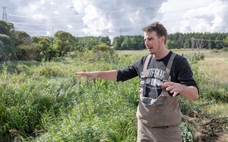 Gäddan gör comeback i skärgården – ”Superviktigt”