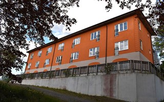 Frstudien drjer ytterligare