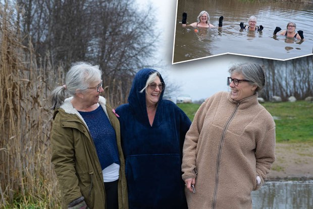 Trion som badar oavsett väder Trion som badar oavsett väder