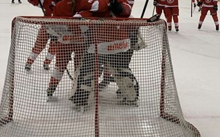 H�r �r vinnaren i �V�r f�rening i bild� � se det prisade fotot!