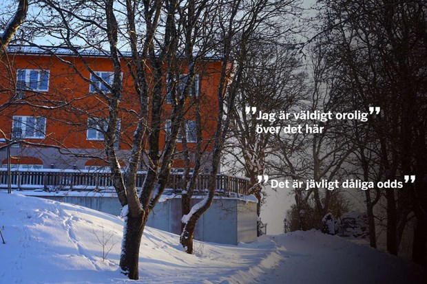 Vattenstrid i St�ngberga v�xer