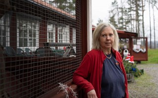 Ny rapport slår fast: Kattvänner utnyttjas