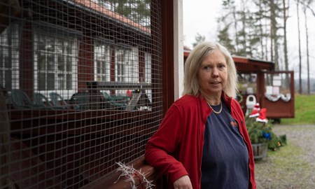 Ny rapport sl�r fast: Kattv�nner utnyttjas