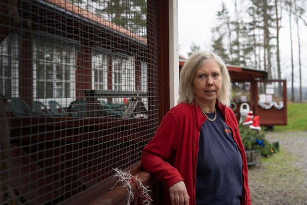 Ny rapport slår fast: Kattvänner utnyttjas