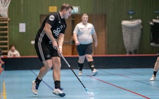 Zorro-m�l och stigande form