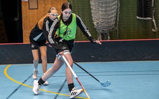 Stj�rntr�naren lyfte VIBK:s sportlovscamp
