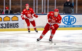 Po�ngen som s�krade Hockeyettan