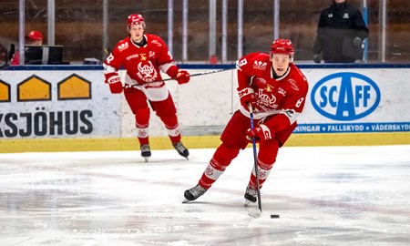 Poängen som säkrade Hockeyettan