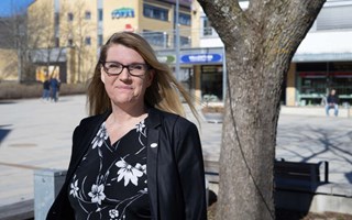 Annica Norb�ck blir ny vd f�r S�rab