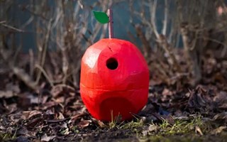 Hagaskolan jagar nytt guld i F�gelholks-SM