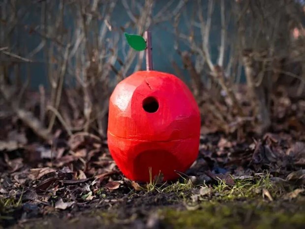 Hagaskolan jagar nytt guld i F�gelholks-SM