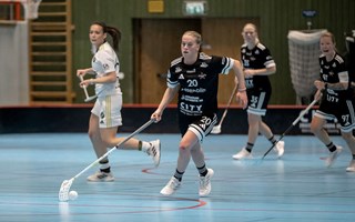 Vallentunas storseger kan vara v�rdel�s