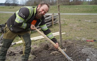 H�r piffas v�tmarksparken upp