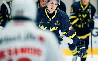 Vallentunakillen stal showen i debuten