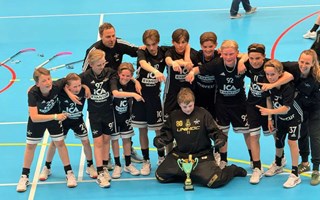 Cupsegrar f�r VIBK:s ungdomslag