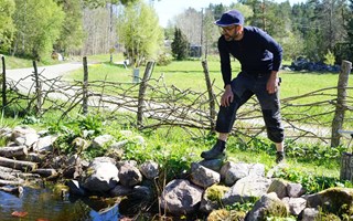 Jakobs tr�dg�rd �r ett paradis f�r insekter