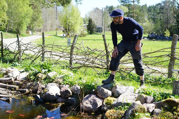 Jakobs tr�dg�rd �r ett paradis f�r insekter