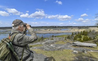 Naturp�rlorna som turister hyllar allra h�gst