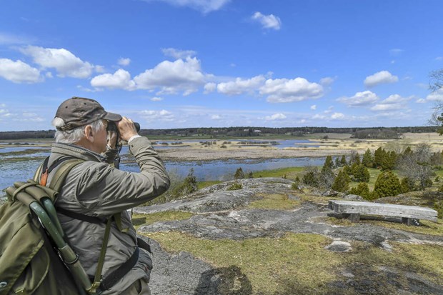 Naturp�rlorna som turister hyllar allra h�gst