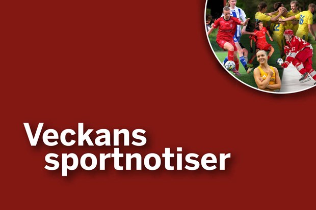 Tr�naren fixade po�ng och ny publikfest stundar i Markim