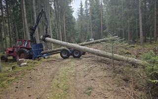 Beskedet: inga nya kvarnvingar i �r
