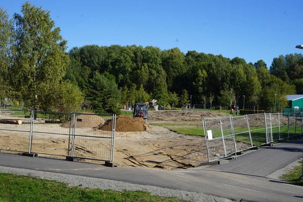 Insektsparadis anl�ggs vid Lasseparken