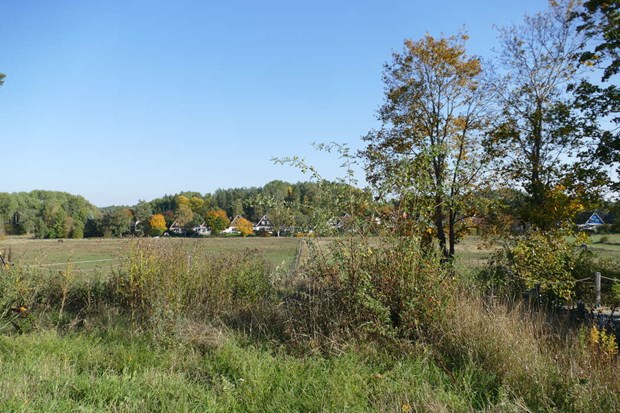 Nya bostäder planeras vid Foderby gård Nya bostäder planeras vid Foderby gård