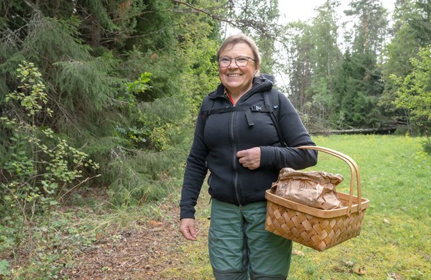 Snart kommer trattkantarellerna Snart kommer trattkantarellerna